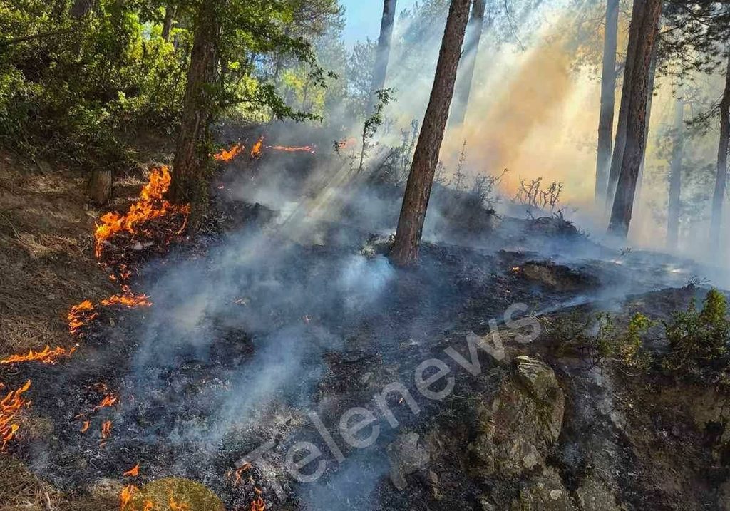 Бърза реакция на пожарникари и доброволци спря пожар в гората над Драгиново 2026