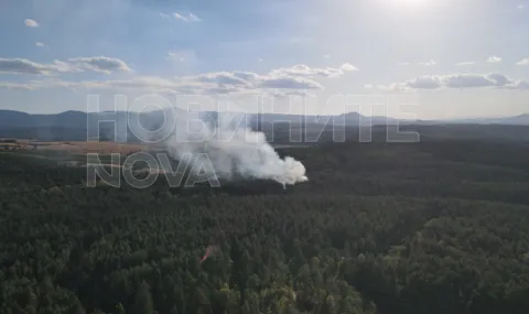 Борова гора гори в района около язовир „Копринка” 2026