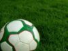 Bulgaria Health Minister greenlights restart of football matches on June 5 2026 Bulgaria Health Minister greenlights restart of football matches on June 5 2026