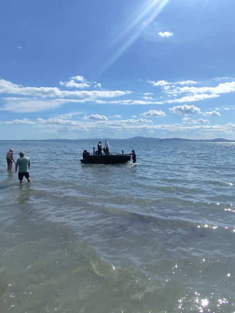 Featured delfin zasedna kray brega pomorie spasiha vide 1 2026 новините от българия делфин, заседнал в плитките води до плажа в местността кротиря край поморие, е спасен вчера след подадени... Делфин заседна край брега в поморие, спасиха го/видео/ 2026 българия новините balgarianovinite. Com 2026-09-25 09:39:34 featured делфин заседна край брега в поморие, спасиха го/видео/ 2026 информационна агенция за разследваща журналистика и разследващ репортаж бургас, българия
