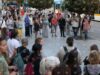 Environmentalists Hold Protest to Urge Stricter Penalties for Killing Protected Species 2026 Environmentalists Hold Protest to Urge Stricter Penalties for Killing Protected Species 2026