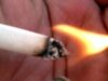 European auditors: EU not up to the task of fighting the illicit tobacco trade 2026 European auditors: EU not up to the task of fighting the illicit tobacco trade 2026