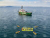 Greenpeace Campaign in Black Sea against Offshore Oil and Gas Prospecting 2026 Greenpeace Campaign in Black Sea against Offshore Oil and Gas Prospecting 2026