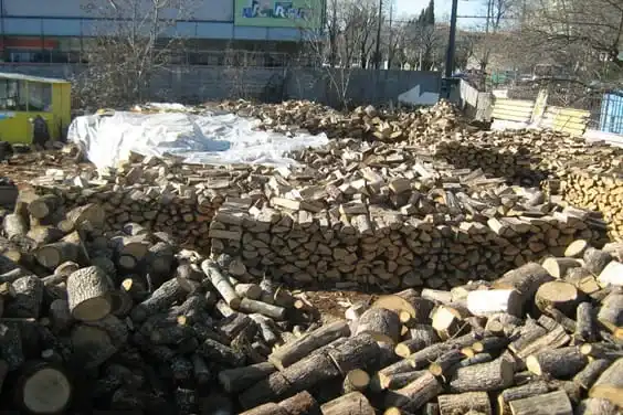 Firewood timber wood logs oak firewood manufacturer performing professional logging operations in bulgaria for export import and wholesale firewood supply firewood for sale kiln dried oak beech