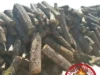Kiln Dried Oak Firewood Logs 1 Meter – Round Firewood Meter Logs Wholesale 2026 Kiln Dried Oak Firewood Logs 1 Meter – Round Firewood Meter Logs Wholesale 2026