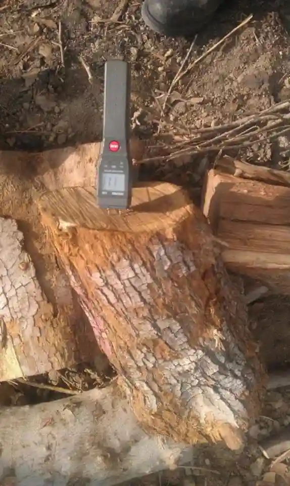 Premium kiln dried oak firewood stacked outdoor pallet crates ready for delivery clean dry hardwood logs high heat output premium oak firewood