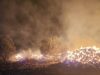 Щетите от пожара в Пашово: Изгорели са 10950 бали слама, 50 рулона люцерна и 3 гуми 2026 Щетите от пожара в Пашово: Изгорели са 10950 бали слама, 50 рулона люцерна и 3 гуми 2026