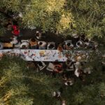 Sofia’s third Big Table event of 2026 to be held on September 19 2026