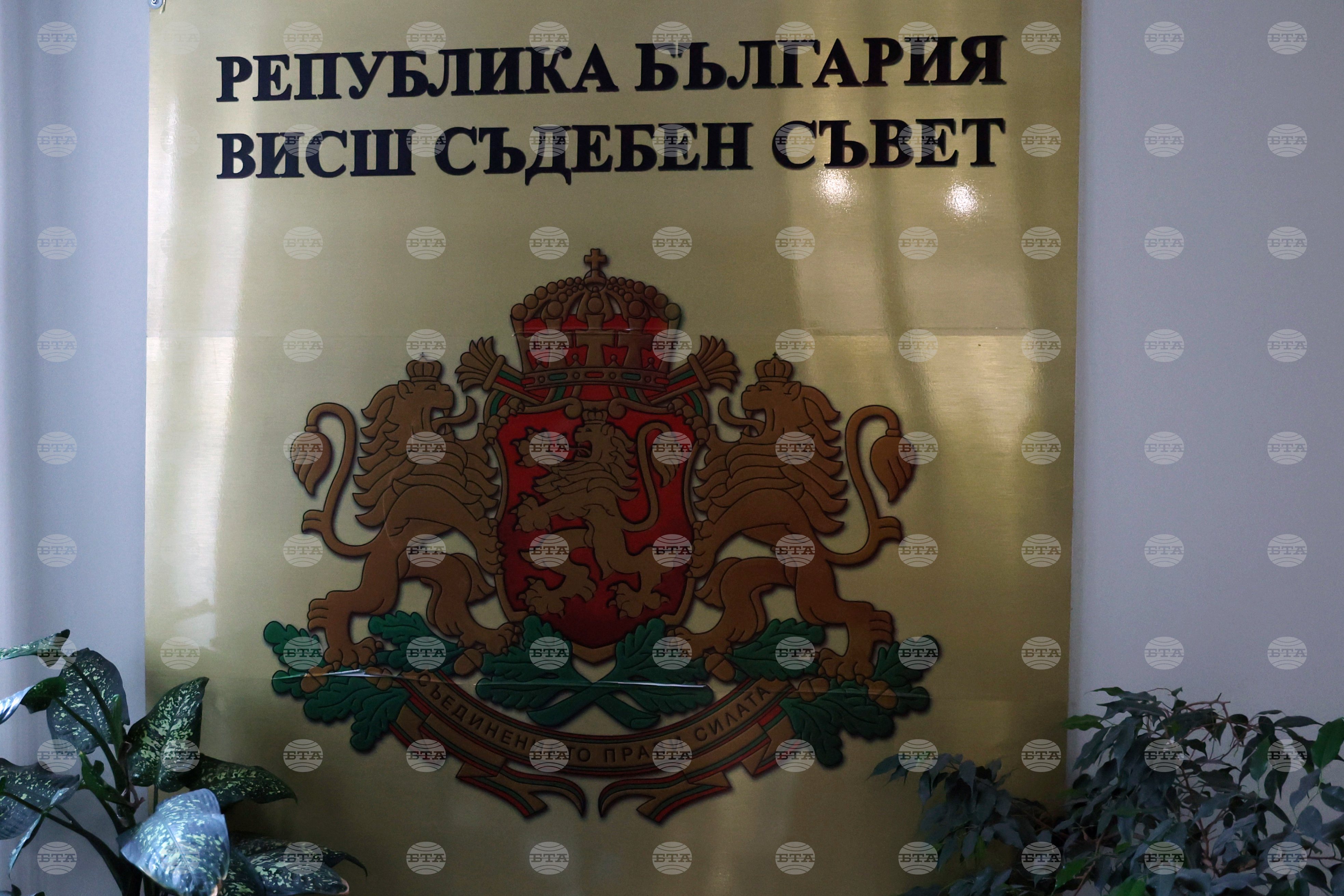 Supreme judicial council publishes documents s 2026 world news from bulgaria balgarianovinite. Com the supreme judicial council published documents submitted by seven candidates for election to... Supreme judicial council publishes documents of seven prosecutors’ quota candidates 2026 българия новините balgarianovinite. Com 2026-09-04 20:14:20 supreme judicial council publishes documents of seven prosecutors’ quota candidates 2026 investigative journalism and investigative reporting news agency burgas bulgaria