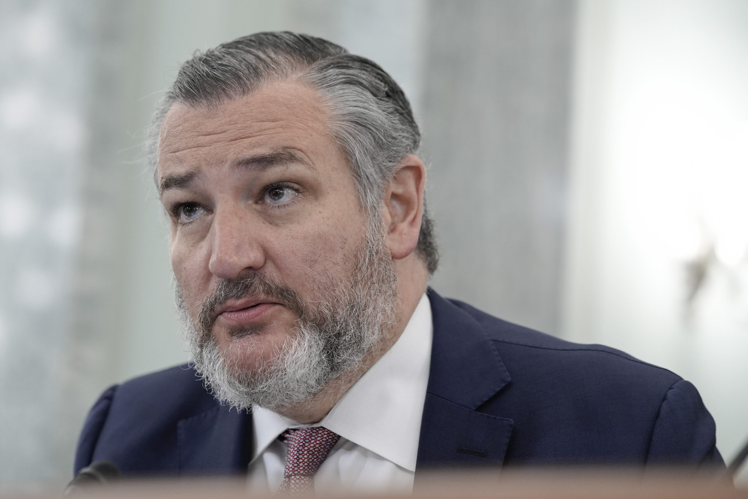 Ted cruz