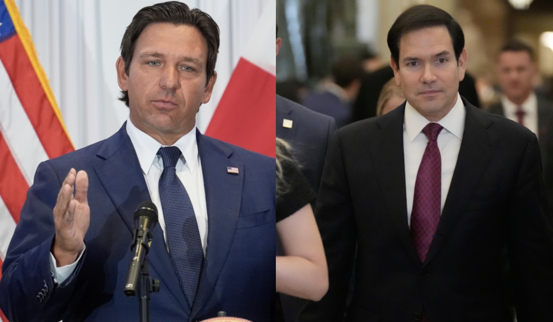 Ron desantis marco rubio