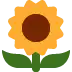 🌻