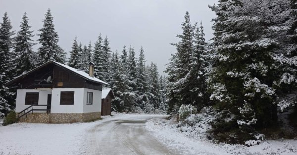 Сняг 2026 543 2026 новините от българия „до края на века снежната покривка в централна и южна европа може да намалее с до 80%“, сочи доклад на европейската... 2026 българия новините balgarianovinite. Com 2025-11-10 19:24:00 сняг 2026 информационна агенция за разследваща журналистика и разследващ репортаж бургас, българия