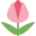 🌷