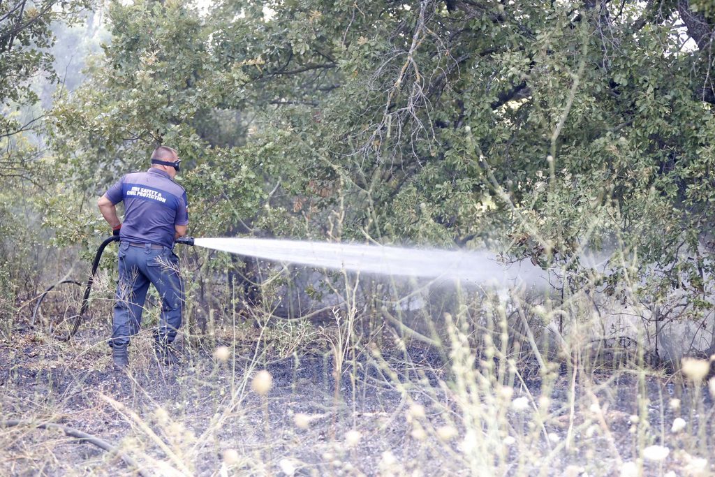 Голям пожар край Харманли: Огънят е обхванал гора и лозя между Коларово и Доситеево 2026