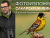 Изложба „Сакарски живини“ откриват в Тополовград 2026 Изложба „Сакарски живини“ откриват в Тополовград 2026