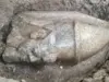 Край дом в Египет откриха 1,6-метрова глава на Рамзес II 2026 Край дом в Египет откриха 1,6-метрова глава на Рамзес II 2026