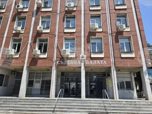 Двама мъже осъдени за телефонна измама с 4050 евро от 81-годишна жена в плевенско