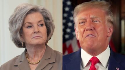 Politico’s bombshell report about trump mulling susie wiles replacement triggered ‘freakout’ by prez 2026