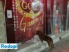 Предупреждение от бранша: Законът за хазарта ще остави 20 000 без работа, над 400 млн. евро извън бюджета! 2026 Предупреждение от бранша: Законът за хазарта ще остави 20 000 без работа, над 400 млн. евро извън бюджета! 2026