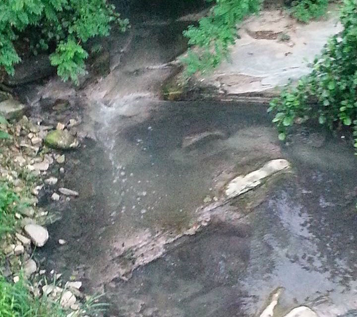29 проверки, акт за мандра и контрол на отпадъчните води от РИОСВ 2026