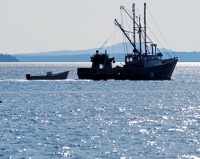 Рибарите: Напрежението в Черно море блокира корабите, очаква се поскъпване на улова 2026
