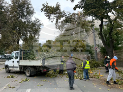 Клон от дърво schupen klon darvo dovede chastichno zatvaryan 3 2026 новините от българия счупен клон от дърво доведе до частично затваряне на бул. „хаджи димитър“ в района на автогарата в сливен. Това... Счупен клон от дърво доведе до частично затваряне на бул. „хаджи димитър“ в района на автогарата в сливен 2026 българия новините balgarianovinite. Com 2026-10-14 14:31:54 клон от дърво счупен клон от дърво доведе до частично затваряне на бул. „хаджи димитър“ в района на автогарата в сливен 2026 информационна агенция за разследваща журналистика и разследващ репортаж бургас, българия