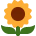 🌻