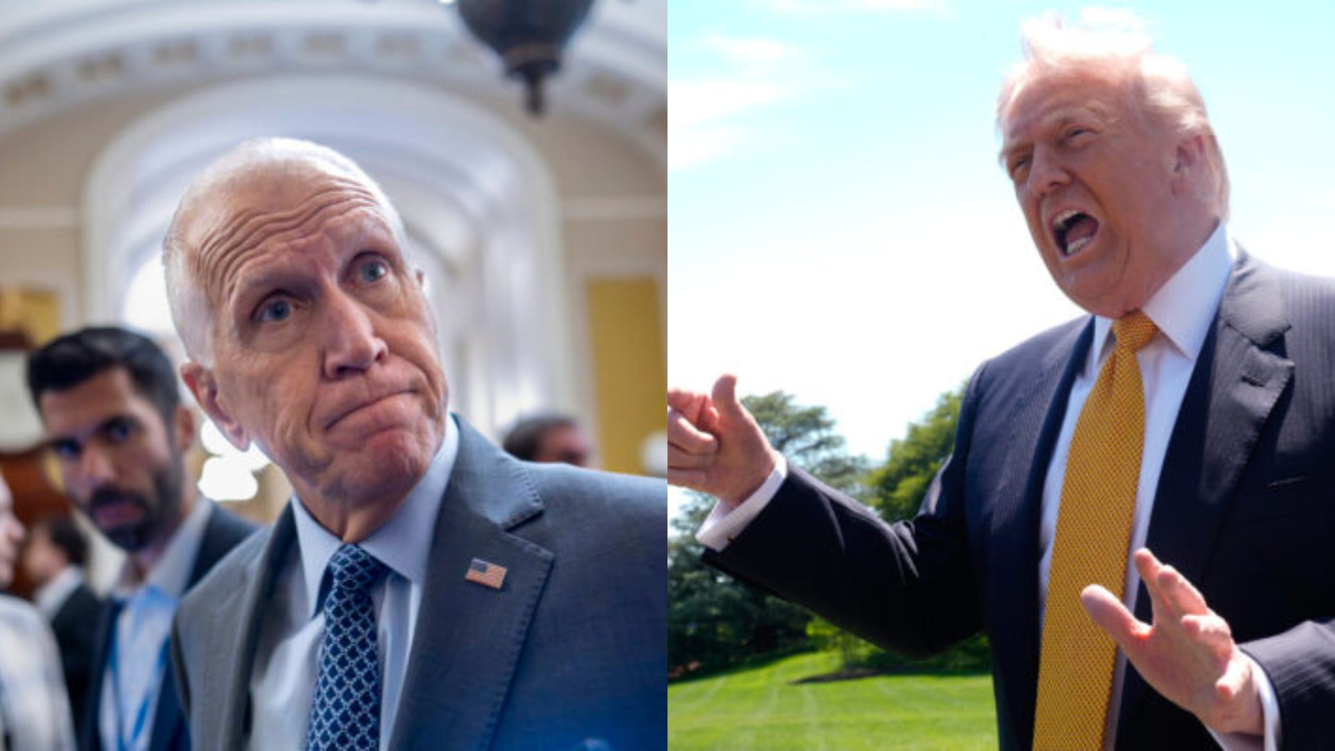 Thom tillis donald trump